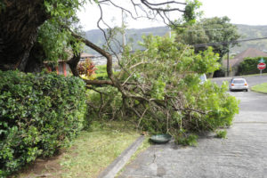 Weekend windstorm wallops Hawaii