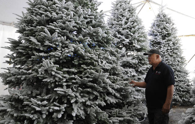 Christmas tree shortage means higher prices for Hawaii this year