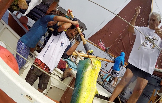 The crew of the Hikianalia caught a mahimahi while en route to Pago Pago, American Samoa. Both the Hikianalia and Hokule'a arrived in Pago Pago on Thursday. (Courtesy Polynesian Voyaging Society)