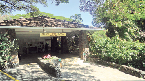 Waioli Tea Room Reopening Delayed Honolulu Star Advertiser