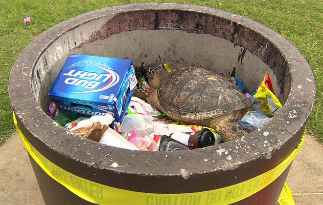 Turtle trash can 