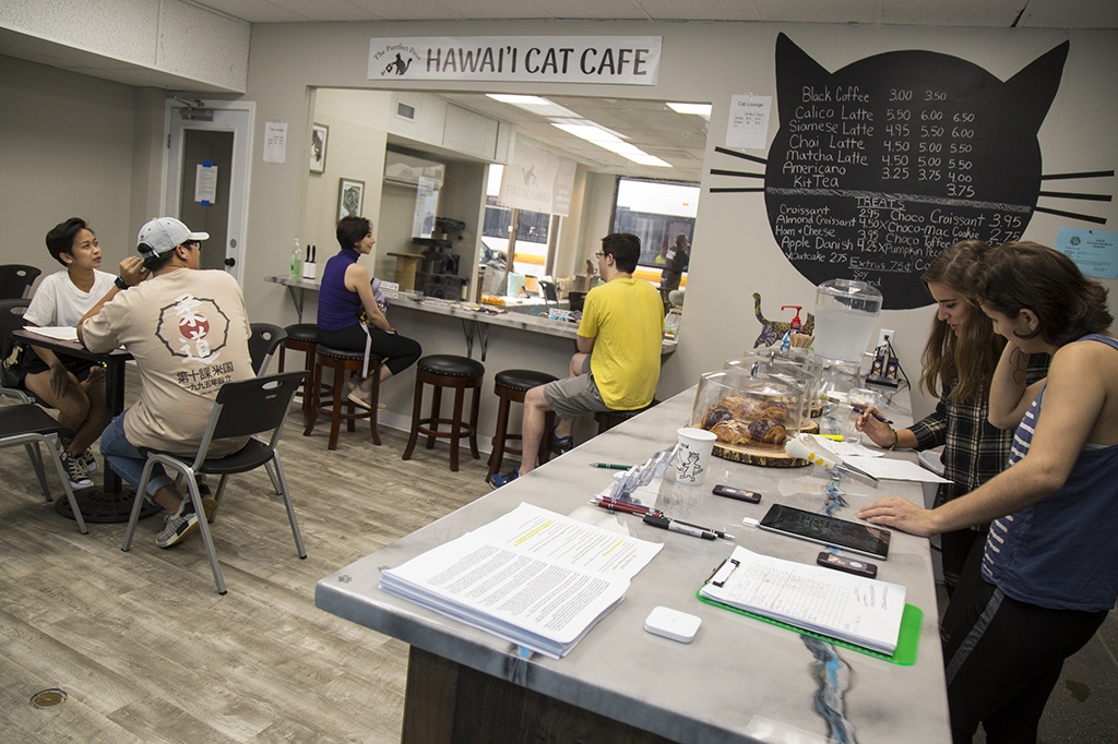  Hawai i Cat Cafe  opens in Honolulu Honolulu Star Advertiser
