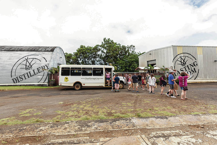 <style type="text/css"></style>
                                BRYAN BERKOWITZ / SPECIAL TO THE STAR-ADVERTISER
                                Tourists can visit the distillery after taking the Maui Gold Pineapple Co. tour.