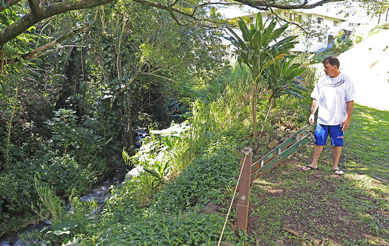 JAMM AQUINO/JAQUINO@STARADVERTISER.COM
                                Palolo resident Sean Scanlan walks along the grass fringe above Pukele Stream behind his residence on Feb. 3, 2019. The U.S. Army Corps of Engineers is now recommending the removal of two huge basins planned for Pukele and Waiomao streams and improving the system above Manoa Marketplace to increase protection for the University of Hawaii at Manoa and lower Honolulu neighborhoods.