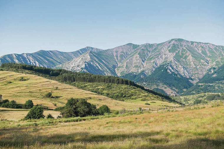 NEW YORK TIMES
                                A view of Monti Sibillini National Park, near Amatrice, Italy, on July 4, 2019. Stephen Hall set out on a journey, all the way to the mountain village of Amatrice, to find the best way to make pasta all’amatriciana.