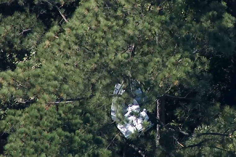 ASSOCIATED PRESS
                                This image made from video provided by WTVD-TV shows the wreckage of a small plane in a treeline near the Raleigh-Durham International Airport in North Carolina today. Two people were killed when the small plane crashed near the airport, prompting an intensive overnight search of a nearby state park, authorities said today.