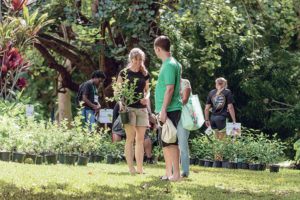 COURTESY KALANI MATSUMURA
                                Plant sales and free plant giveaways will celebrate Arbor Day Hawaii on Friday and Saturday.