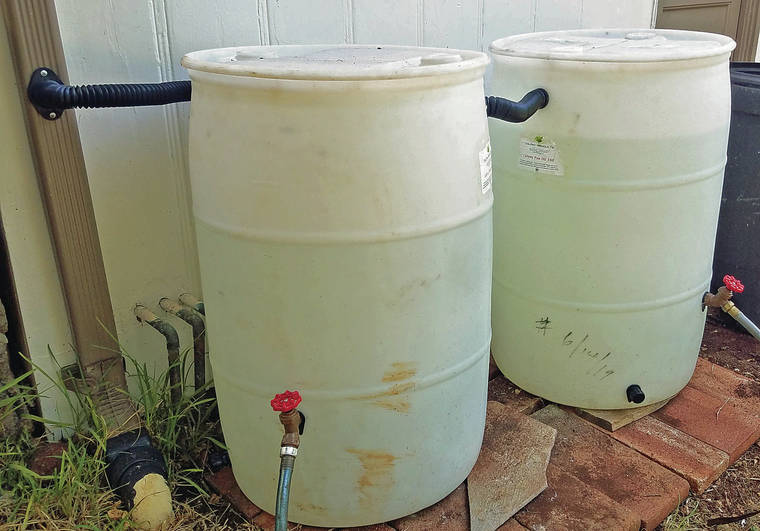 COURTESY ROB KAY
                                Rob Kay set up a rain barrel water catchment system at his home in Kaimuki.