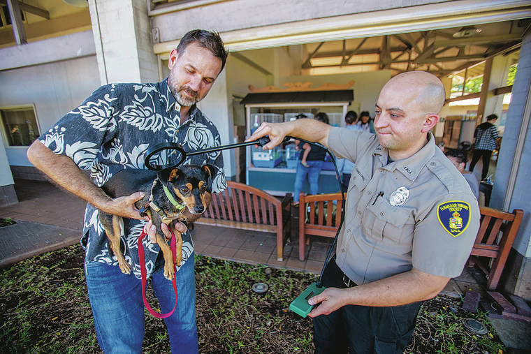 DENNIS ODA / DODA@STARADVERTISER.COM
                                Hawaiian Humane Society Director of Community Relations Daniel Roselle held a dog Tuesday as Humane Society Investigator Tom Chmielwicz demonstrated how he uses a chip scanner to identify animals.