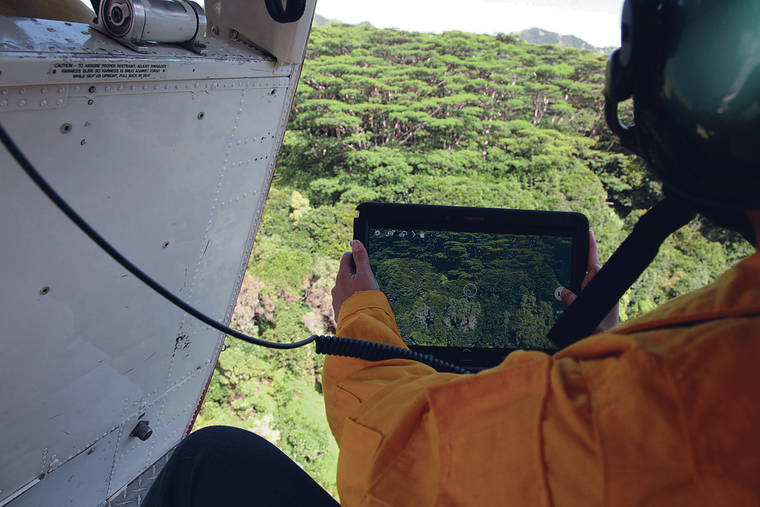 COURTESY KAUAI INVASIVE SPECIES COMMITTEE 
                                Beginning in 2016 a coalition of public and private organizations has been conducting regular helicopter and ground surveys on Oahu to look for rapid ohia death. Above, the state Department of Forestry and Wildlife conducted digital surveys of possible trees infected by rapid ohia death over Kauai in 2018.