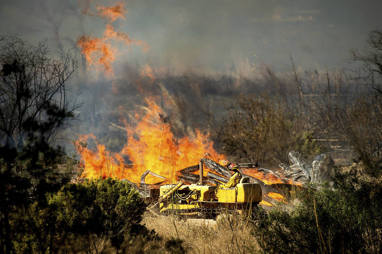 ASSOCIATED PRESS
                                A firefighter creates a fire break as the Maria Fire approaches in Santa Paula, Calif. According to Ventura County Fire Department, the blaze has scorched more than 8,000 acres and destroyed at least two structures.