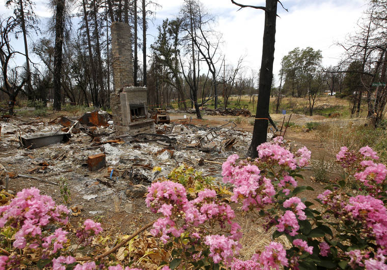 ASSOCIATED PRESS
                                Flowers brighten the burned out remains of a home destroyed by the previous year’s Camp Fire, in Paradise, Calif., on Aug. 21. Pacific Gas & Electric has agreed to extend by two months the deadline to file claims against the company for damages suffered from a series of wildfires in California.