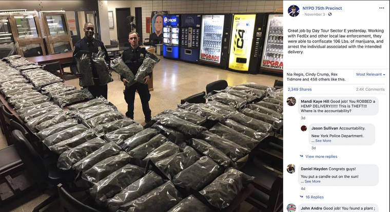 NEW YORK POLICE DEPARTMENT VIA AP
                                In this undated photo taken from the New York Police Department Facebook page, officers stand by what NYPD thought was marijuana when they confiscated in the Brooklyn borough of New York at the 75th Precinct of the NYPD in New York. The Vermont farm that grew the plants and the Brooklyn CBD shop that ordered them insist they’re not pot, but legal industrial hemp.