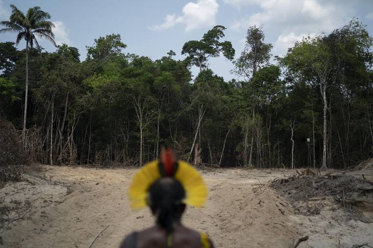 ASSOCIATED PRESS / AUG. 31
                                Krimej indigenous Chief Kadjyre Kayapo, of the Kayapo indigenous community, looks out at a path created by loggers on the border between the Biological Reserve Serra do Cachimbo, front, and Menkragnotire indigenous lands, in Altamira, Para state, Brazil