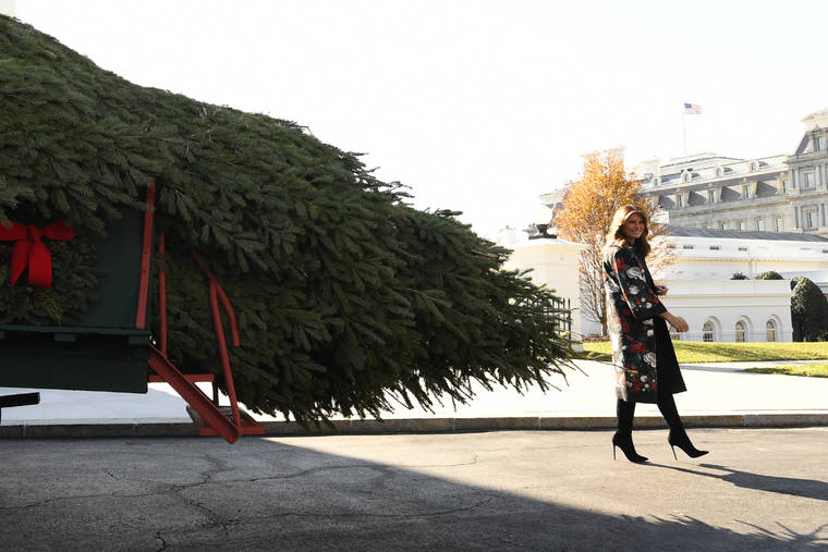 ASSOCIATED PRESS
                                First lady Melania Trump looks over the 2019 White House Christmas tree as it is delivered to the White House in Washington today. The Douglas fir is approximately 23 feet tall and was grown by Larry and Joanne Snyder at Mahantongo Valley Farms in Pennsylvania. Since 1966, the National Christmas Tree Association has held a contest that awards its winner with the honor of presenting their tree to the first family and will serve as a centerpiece for Christmas decorations in the Blue Room of the White House.