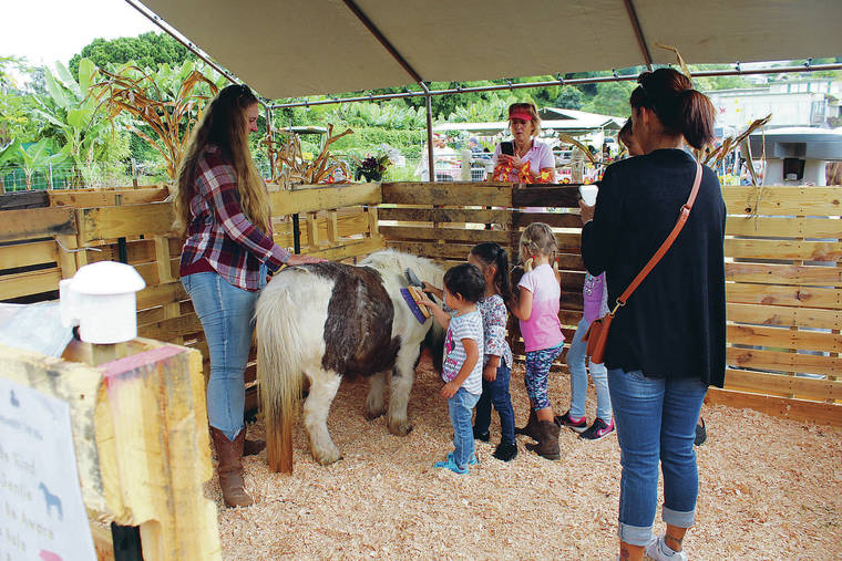 KULA HARVEST FESTIVAL
                                Kids can get acquainted with the animals at the petting zoo and can enjoy pony rides offered by Maui Ponies.