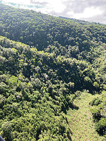 COURTESY COUNTY OF KAUAI
                                The site where a Safari Helicopters aircraft crashed Thursday, killing seven people, is seen in the mountains above Kokee, Kauai. NTSB lead investigator Eric Weiss said more details will be released today.