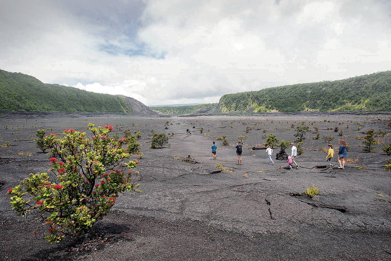 NATIONAL PARK SERVICE
                                Hikers explore the surface of the hardened lava lake that formed during the 1959 eruption at Kilauea Iki crater. A blooming ohia tree is in the foreground.