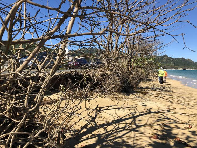 COURTESY HDOT
                                State crews found additional sections of Kamehameha Highway at Hauula in need of repair. Emergency repairs will continue into mid-February.