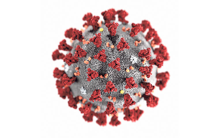 COURTESY CDC                                An illustration provided by the Centers for Disease Control and Prevention (CDC) in January 2020 shows the 2019 Novel Coronavirus (2019-nCoV). Hawaii health officials are now monitoring 26 people who have been in China in the last 14 days for the coronavirus.