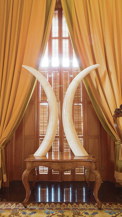 COURTESY FRIENDS OF IOLANI PALACE
                                For Kalakaua’s Silver Jubilee birthday celebration Walter Murray Gibson, prime minister of Hawaii, gifted the king with these two elephant tusks and the table they are displayed on.