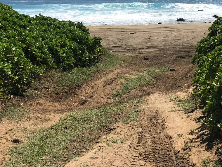 CHRISTINE DONNELLY / KOKUALINE@STARADVERTISER.COM
                                Illegal off-roading has degraded Wawamalu Beach, directly makai of Kealahou Street at Kalanianaole Highway in East Oahu.