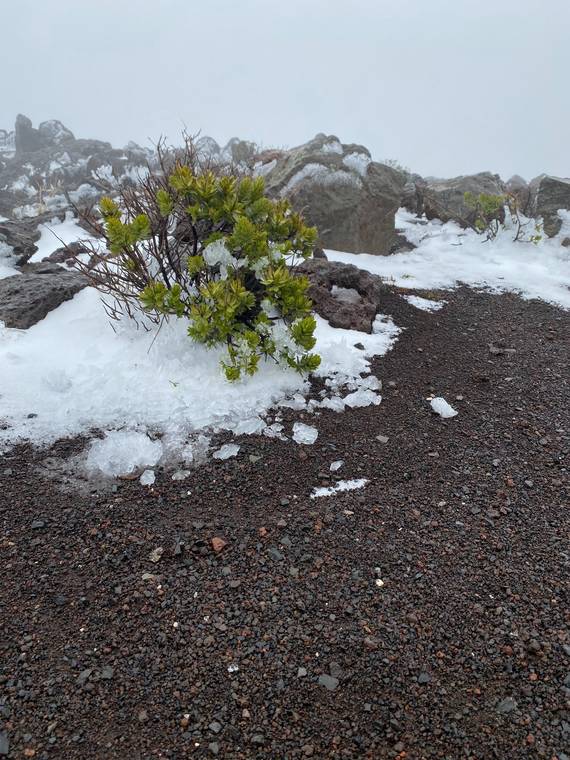 COURTESY NATIONAL PARKS SERVICE
                                Snow was seen at the summit of Haleakala today.