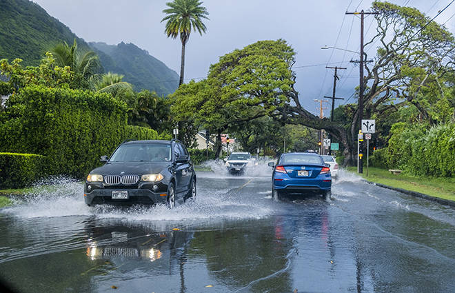 DENNIS ODA / DODA@STARADVERTISER.COM
                                Cars drive through water on University Avenue near East Manoa Road after a short heavy downpour in Manoa today.