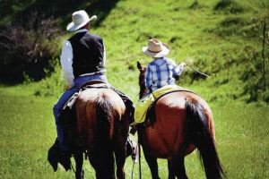 COURTESY DUDE RANCHERS’ ASSOCIATION
                                Dude ranches can offer a wide range of activities to engage every generation — from fishing and bird watching to horseback riding and hiking. A father and son take a horseback ride at Bull Hill Guest Ranch in Kettle Falls, Wash.