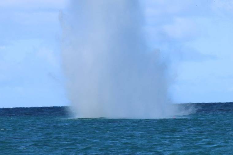 COURTESY DLNR
                                Navy explosive ordnance disposal technicians Monday detonated explosives to destroy two World War II-era 100-pound gravity bombs and removed other ordnance from the highly traveled channel between Lanikai and Mokulua North, otherwise known as Mokunui Islet.