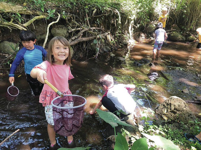 COURTESY HAWAI‘I NATURE CENTER
                                The weeklong Nature Adventure Camps are designed for kids ages 6 to 11.