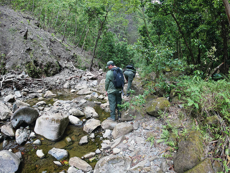 STATE DEPARTMENT OF LAND AND NATURAL RESOURCES
                                On May 9 officers from the state Department of Land and Natural Resources Division of Conservation and Resources Enforcement issued four citations to illegal hikers and sent back three more trespassers from the closed trail to Sacred Falls.