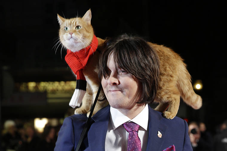 ASSOCIATED PRESS
                                In this file photo dated Nov. 3, 2016, writer James Bowen and Bob the cat pose for photographers upon arrival at the premiere of the film ‘A Street Cat Named Bob’, in London. Bob, the cat whose relationship with the recovering addict James Bowen who adopted him and inspired the book and film “A Street Cat Named Bob,” has died aged at least 14, according to an announcement today.