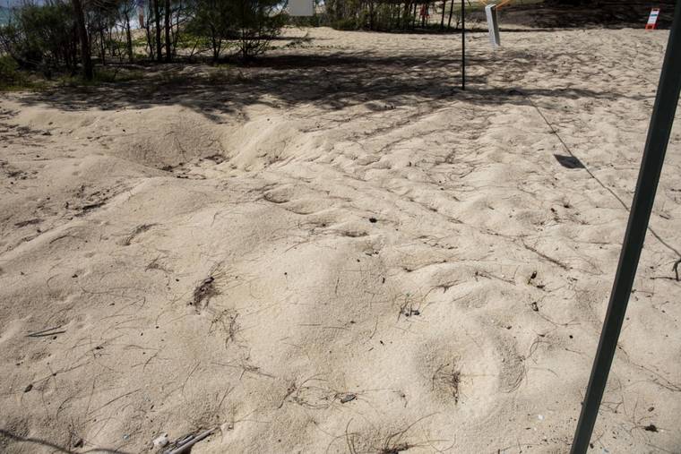 COURTESY LANCE CPL. SAMANTHA SANCHEZ / MCBH
                                Turtle tracks are seen recently at Bellows Beach.