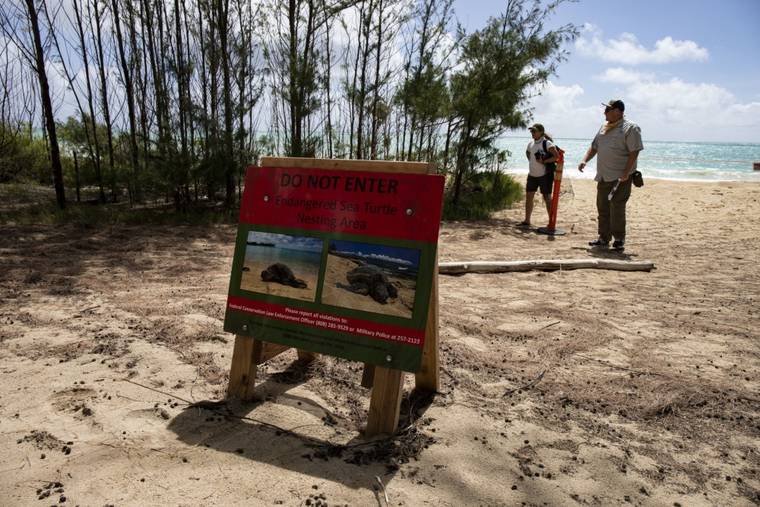 LANCE CPL. SAMANTHA SANCHEZ / MARINE CORPS BASE HAWAII
                                Signs warning of nesting green sea turtles are placed at Bellows Beach. So far, 13 nestling sites have been identified at the beach.