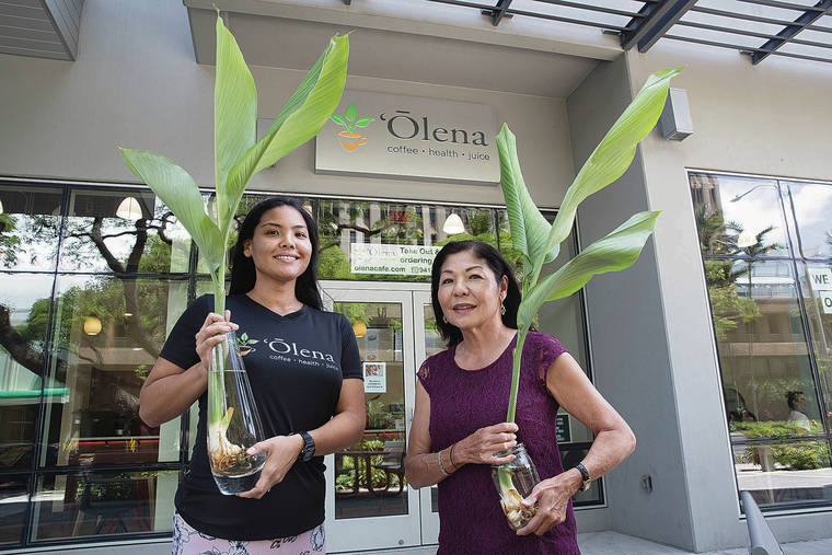 GEORGE F. LEE / GLEE@STARADVERTISER.COM
                                Jackie Toya, left, and her mom Helene Toya with live turmeric plants at the at the Olena Cafe on Kapiolani Blvd. near Ala Moana Center on July 9.