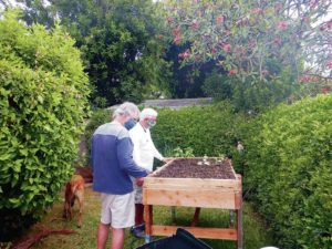 COURTESY HEIDI BORNHORST
                                Clark Leavitt (foreground) and John Drake admire the new vigorous seedlings in the raised bed created by Drake and his wife, Nyna Weiser.