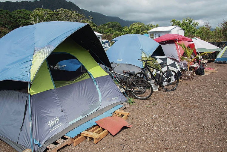 CRAIG T. KOJIMA /CKOJIMA@STARADVERTISER.COM
                                Tents are lined up in Waimanalo, where Blanche McMillan plans to erect homes.