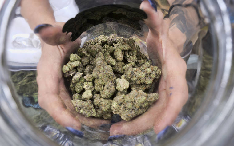 ASSOCIATED PRESS
                                A bud tender displays a jar of cannabis at the High Times 420 SoCal Cannabis Cup in San Bernardino, Calif., in 2018.