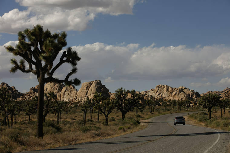 ASSOCIATED PRESS
                                An SUV drives across Joshua Tree National Park in California.