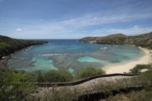 Hanauma Bay recovering since COVID-19 closure, new research shows - Honolulu Star-Advertiser