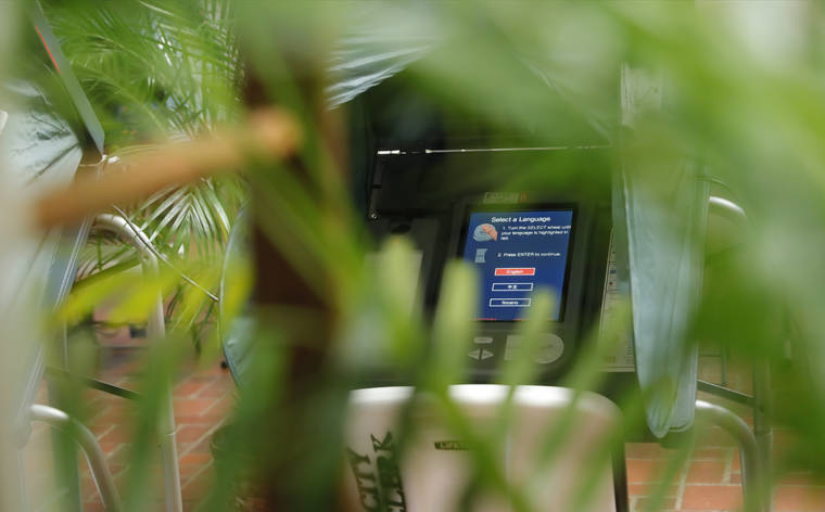 JAMM AQUINO / JAQUINO@STARADVERTISER.COM
                                A polling booth is seen through the greenery of a plant on Thursday at Honolulu Hale in Honolulu.