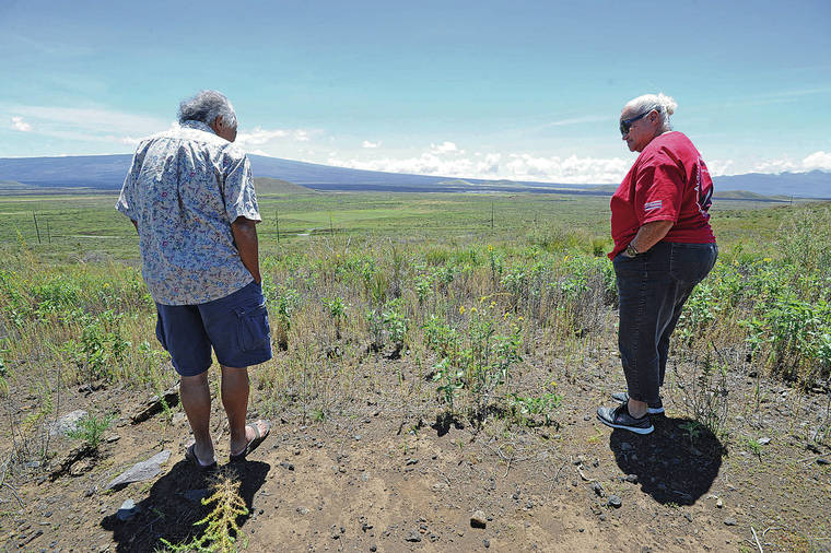 STAR-ADVERTISER / 2018
                                Above, Hawaiian cultural practitioners Clarence “Ku” Ching, left, and Mary Maxine Kahaulelio filed suit against the state Department of Land and Natural Resources in 2014 claiming the state breached its trust duties by failing to enforce the lease. The pair is seen on a hill overlooking Poha­kuloa on Hawaii island.
