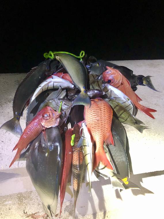 7 spearfishermen cited for taking large haul of fish off Waikiki