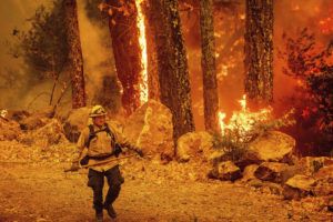 ASSOCIATED PRESS
                                A firefighter walks a path as the Glass Fire burns along Highway 29 in Calistoga, Calif., on Thursday.