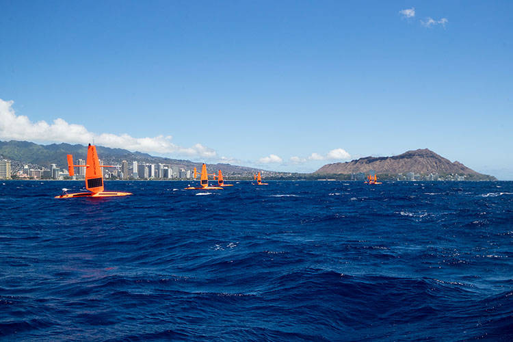 COURTESY SAILDRONE
                                The Saildrone fleet sailing south from Oahu.