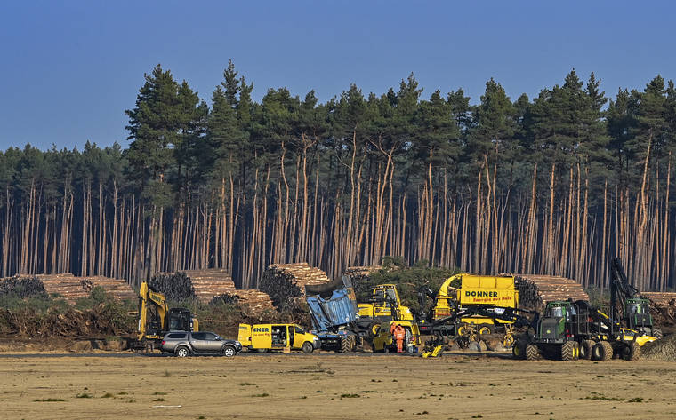 PATRICK PLEUL/DPA VIA AP / DEC. 8
                                Felled trees lie on the construction site of the Tesla Gigafactory in Gruenheide near Berlin, Germany. A German court has ruled that automaker Tesla Inc. has to stop clearing trees on some parts of the site where it’s building its first electric car factory in Europe.