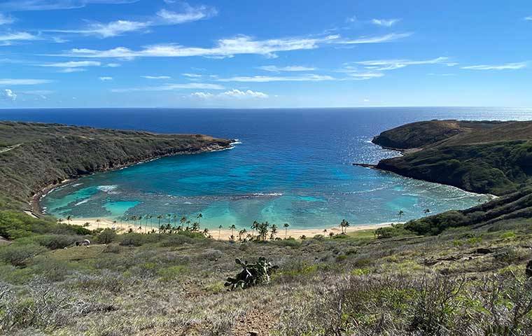 CINDY ELLEN RUSSELL / CRUSSELL@STARADVERTISER.COM
                                Hanauma Bay Nature Preserve as seen this morning. The bay reopened to visitors today after being closed since March due to COVID-19.