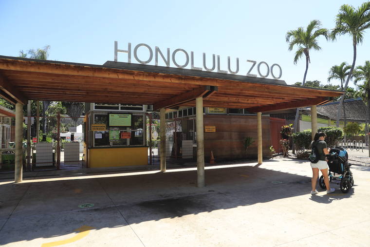 JAMM AQUINO / OCT. 19
                                The Honolulu Zoo is seen in Waikiki.
