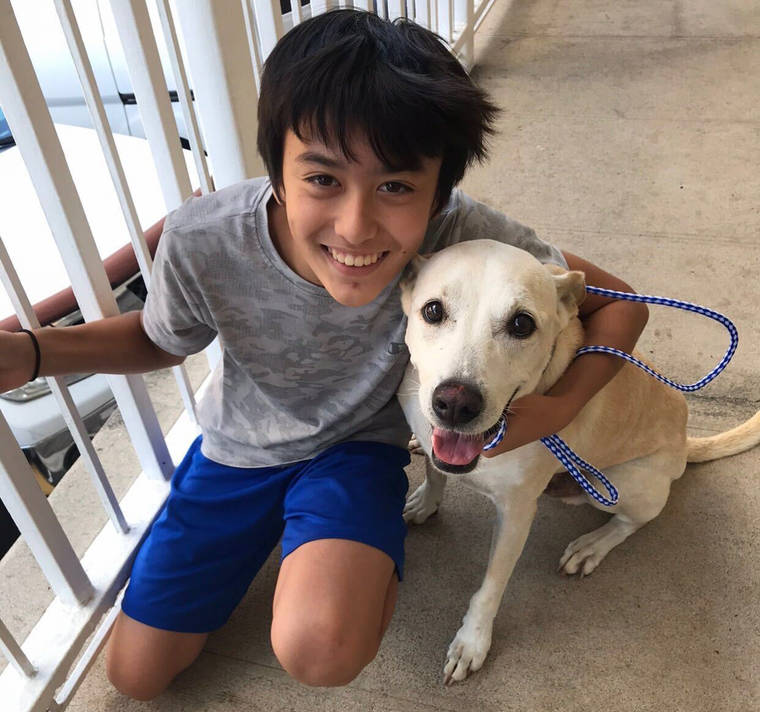 COURTESY LISA ORNELLAS
                                Landon Garza, 14, and his dog, Kona, who died Dec. 23. Kona was on his leash at the time. He had crawled under the chainlink fence, and his collar got caught on one of the links. He actually broke some of the chainlink just to escape the boom of fireworks, said Lisa Ornellas, Garza’s mother.